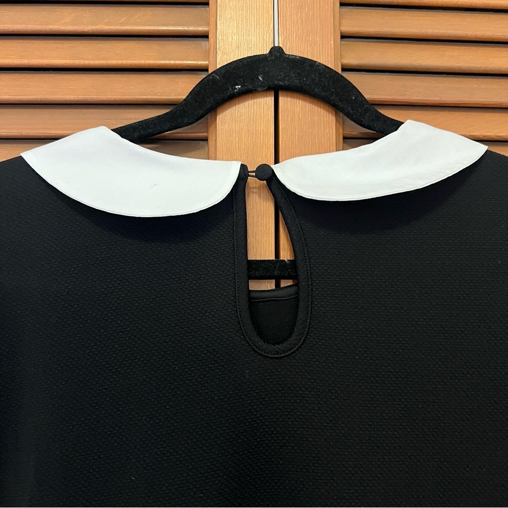 Torrid Black Dress White Peter Pan Collar 2x 18/20 plus size costume Wednesday - Picture 10 of 14